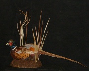 Pheasant Mount