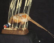 Pheasant Mount