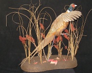 Pheasant Mount