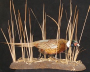 Pheasant Mount