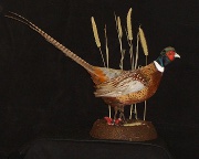 Pheasant Mount