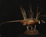 Pheasant Mount