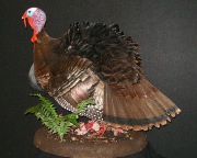 Pheasant Mount